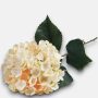 Hortenzia (Hydrangea) prémium dekorációs művirág szál 88cm, barack színű