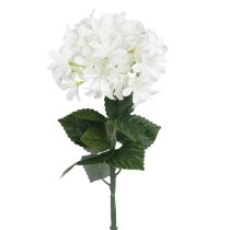   Hortenzia (Hydrangea) prémium dekorációs művirág szál 68cm, fehér színű