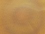 TULLE 100% POLYESTER, WIDTH: 150CM